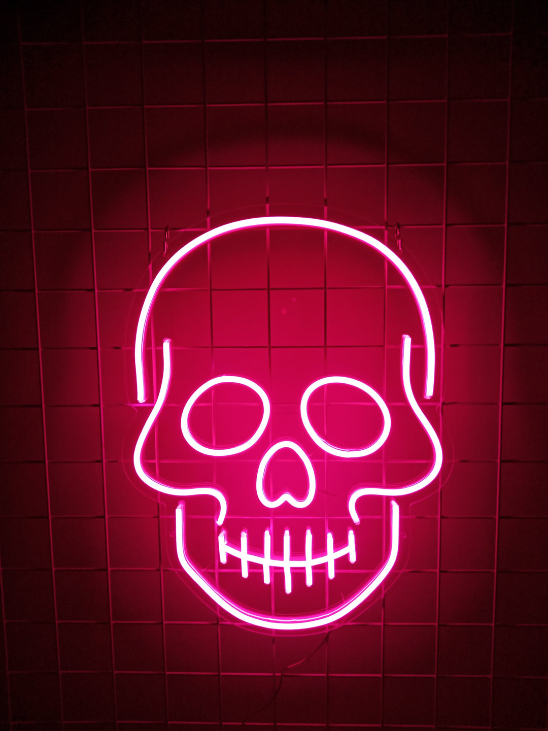 "Schedel" Verlichting (Voorraad: 1 stuks)