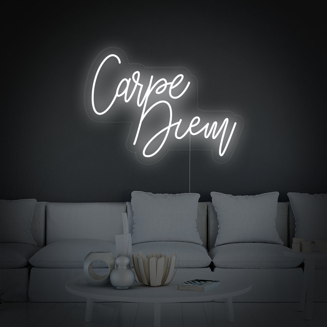 "Carpe Diem Latin Means Seize the Day" Neon Verlichting