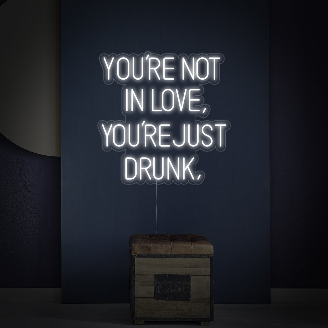 "You Are Not In Love You Just Drunk" Neon Verlichting