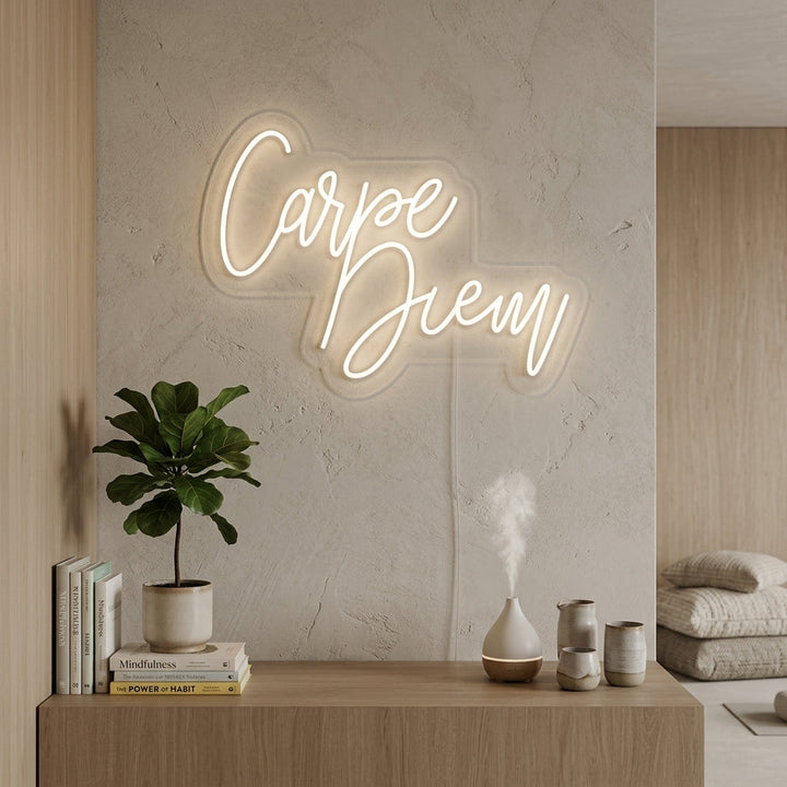 "Carpe Diem Latin Means Seize the Day" Neon Verlichting